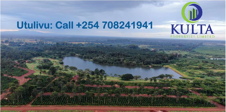 1/4 and 1/2 acre plots by the lake in Oaklands Tatu city