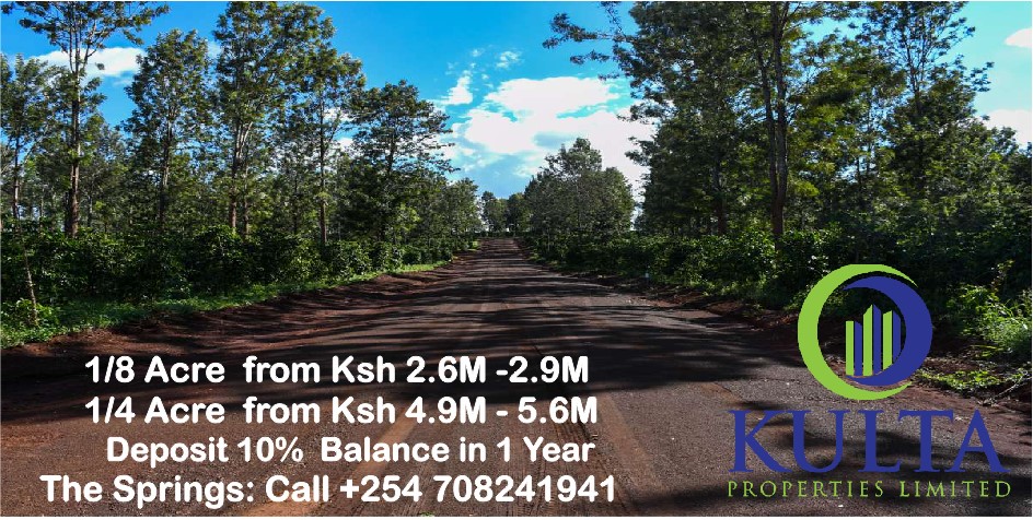 1/8 and 1/4 Acre plots for sale at Tatu City the Springs