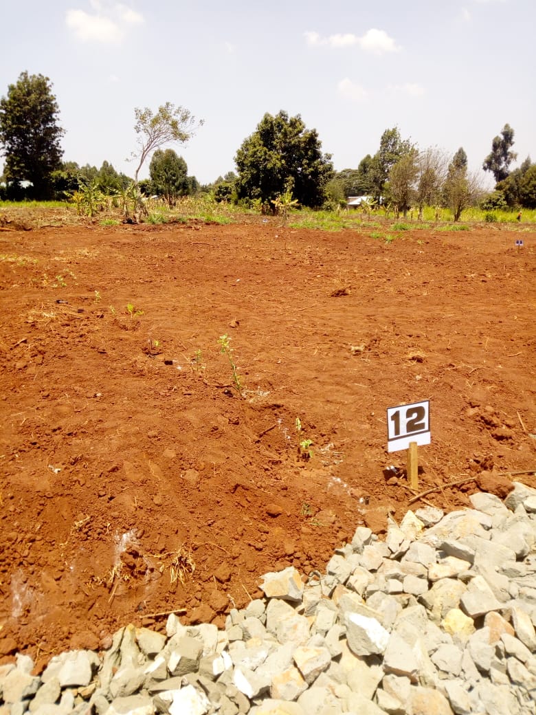 50 x 100 plots for sale in Ondiri Kikuyu