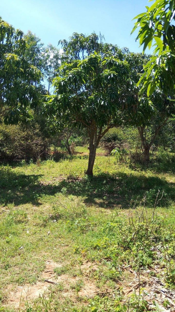10 Acres land for Sale in Embu Siakago. 