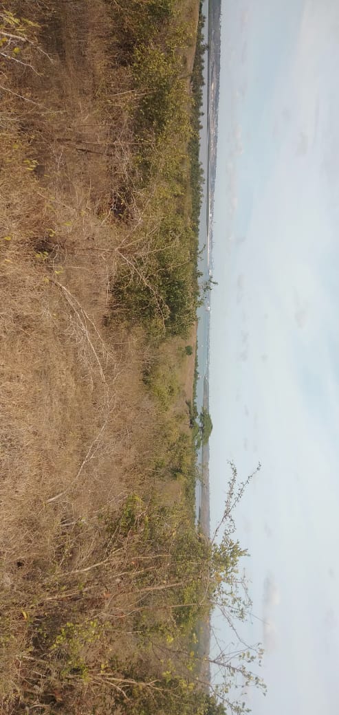 20 Acres prime land for Sale in Kwale Dongo kundu bypass