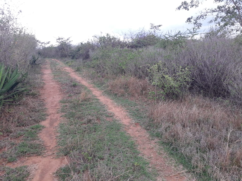 9 Acres agricultural land in Machakos Masii