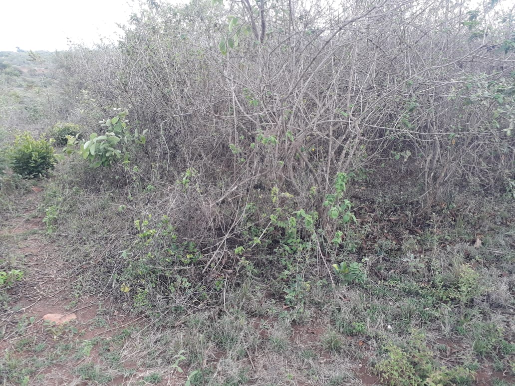 9 Acres agricultural land in Machakos Masii