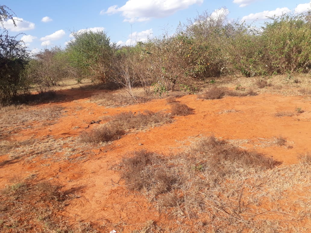 30 Acres Agricultural land for sale in Machakos Masii