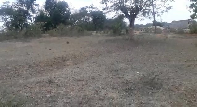13 Acres Prime land for sale in Mwala Machakos