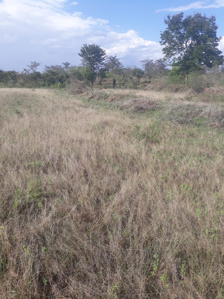 3 Acres land for sale in Mwala Machakos