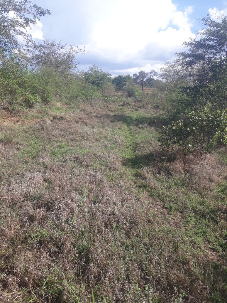 3 Acres land for sale in Mwala Machakos