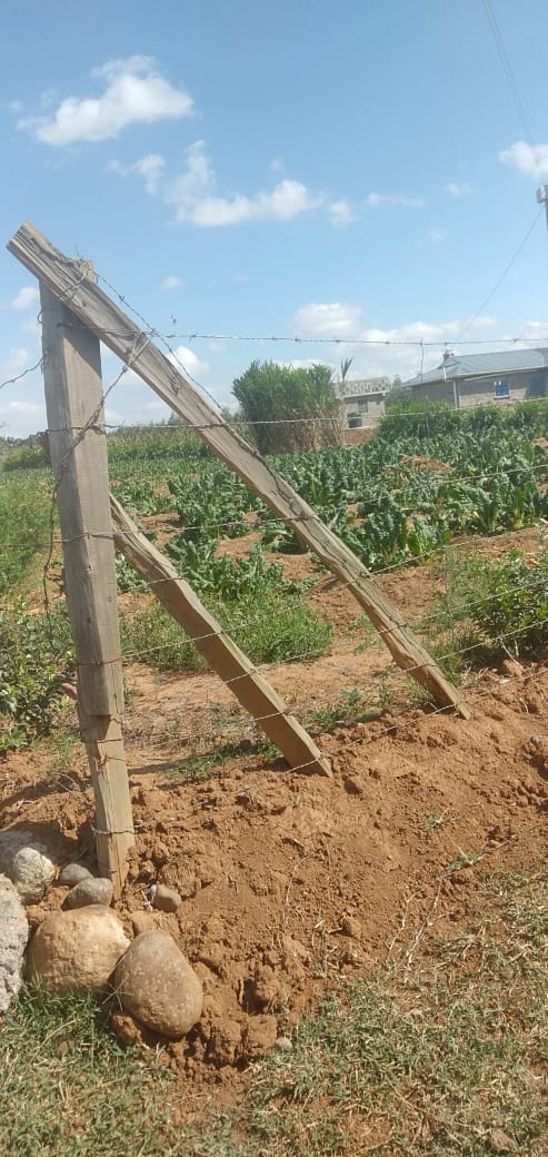 200 Acres Agricultural land for sale in Nyeri Kiamathaga