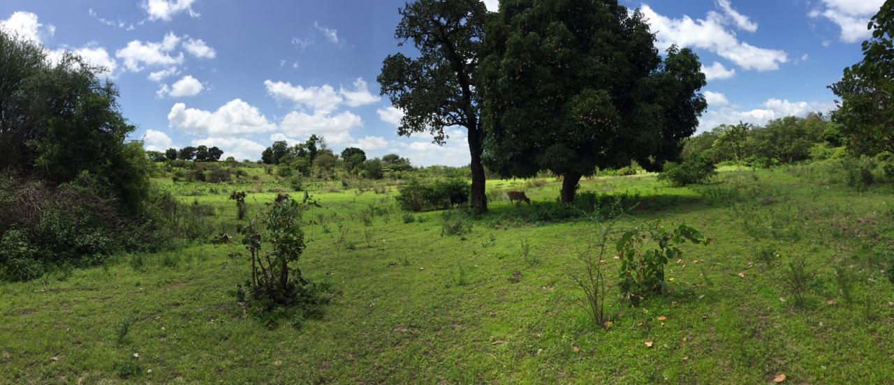 10 Acres land for Sale in Embu Siakago, Musonoke