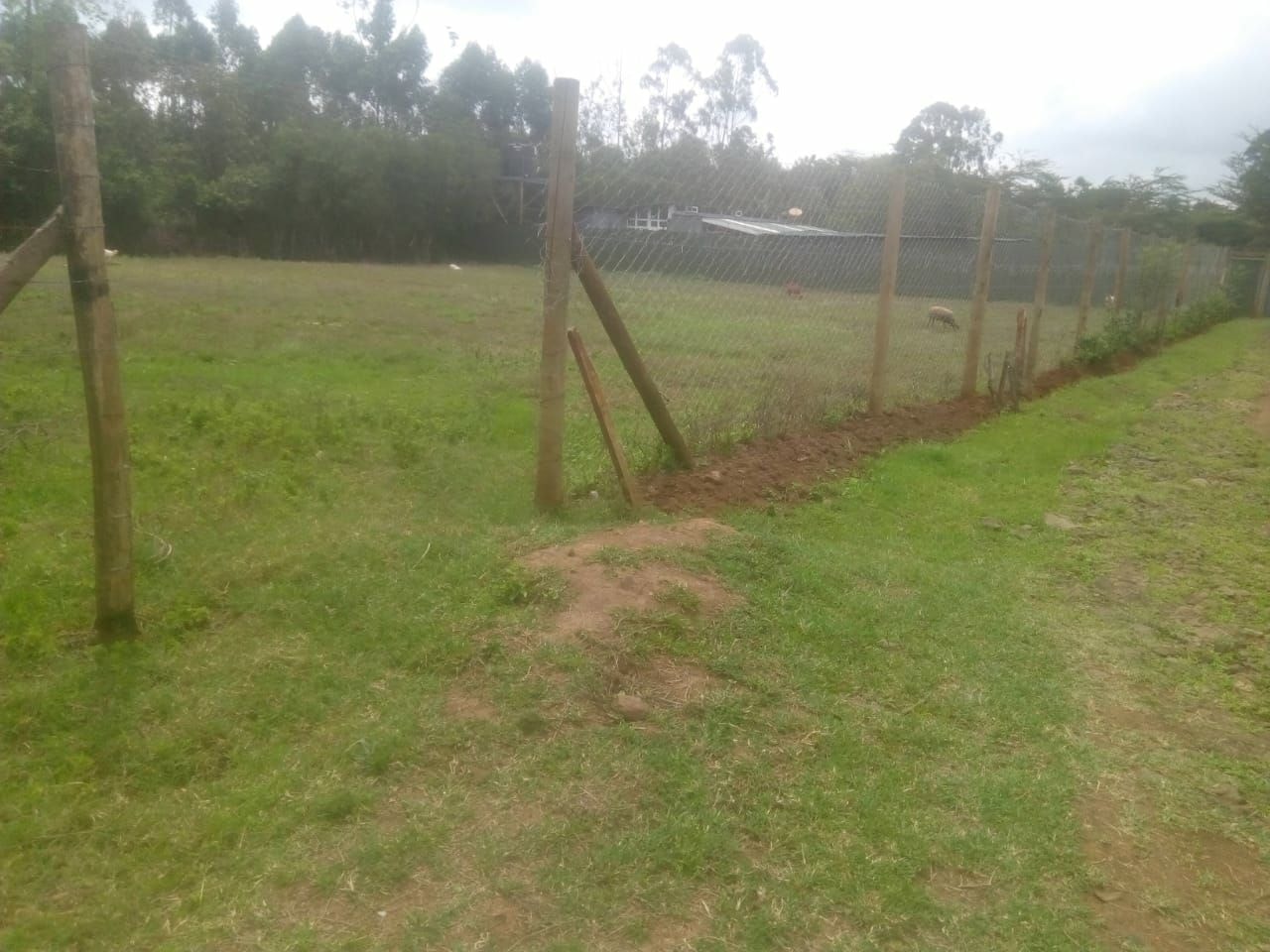 KAREN BOMAS AREA NAIROBI 1/2 ACRE RESIDENTIAL LAND ON QUICK SALE