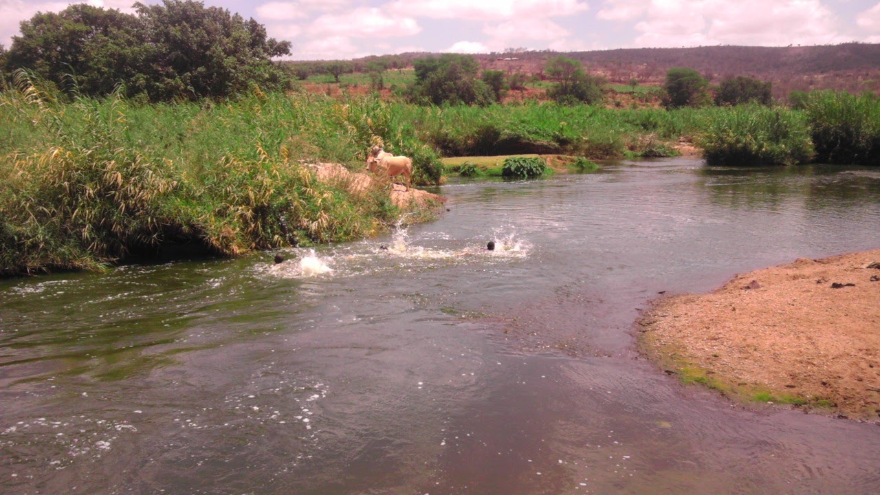 17.5 Acres land in Mwala Machakos Ksh 8.5M QUICK SALE