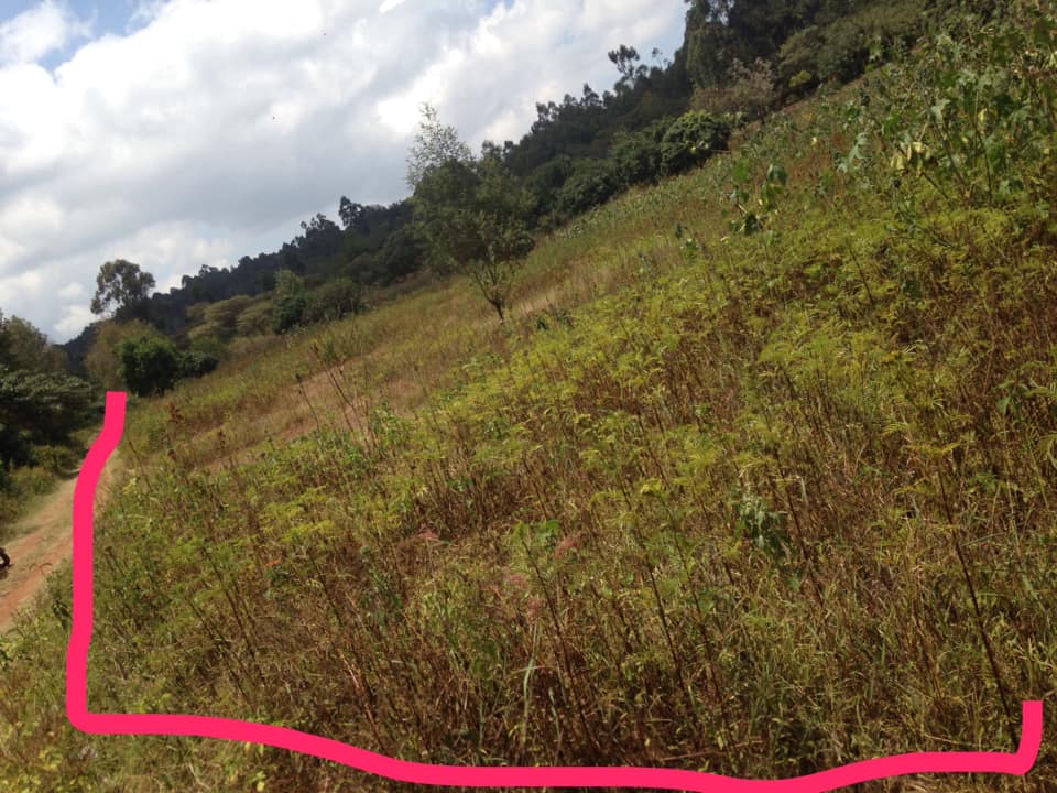 ONE Acre on sale in Kikuyu Lussigeti