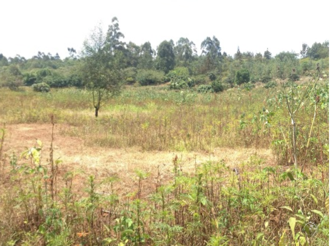 ONE Acre on sale in Kikuyu Lussigeti