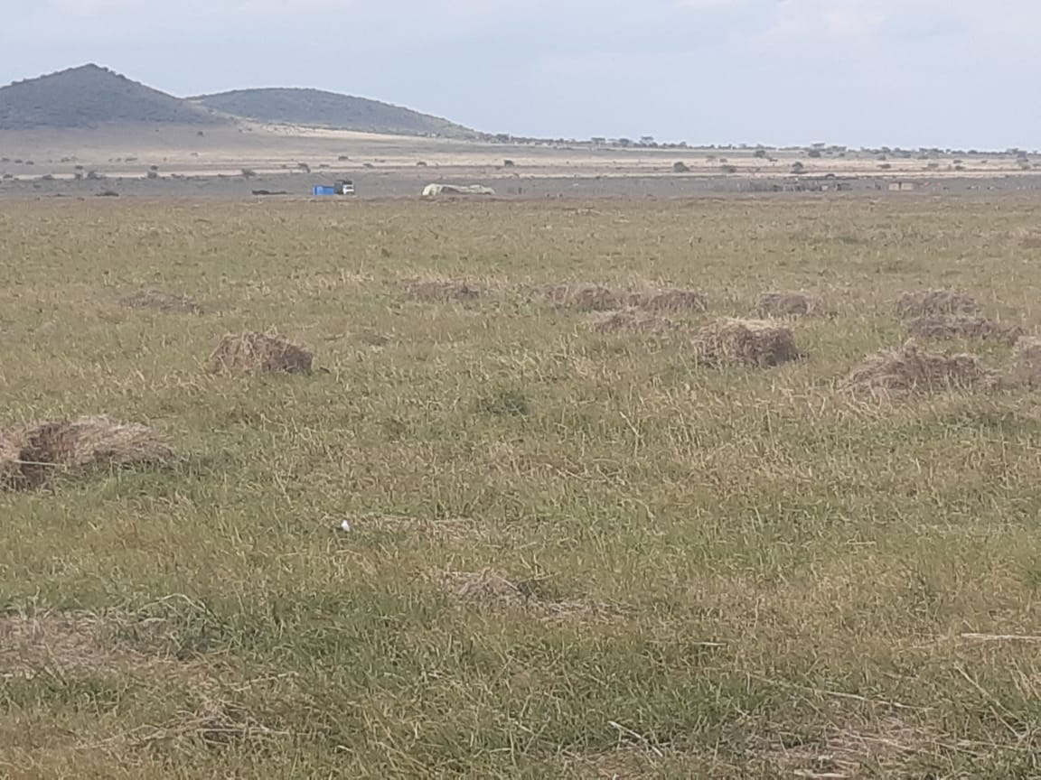 1000 Acres Agricultural land for sale in Narok, Maji Moto
