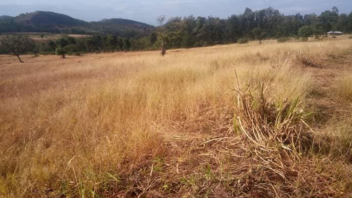 23 Acres of land on sale in Meru