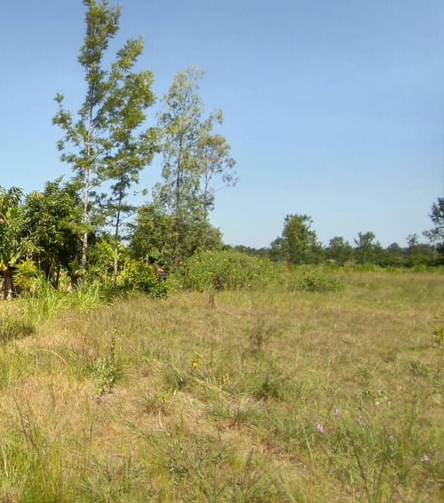 MAKUYU MURANG'A COUNTY 2 ACRES RESIDENTIAL COMMERCIAL LAND ON QUICK SALE