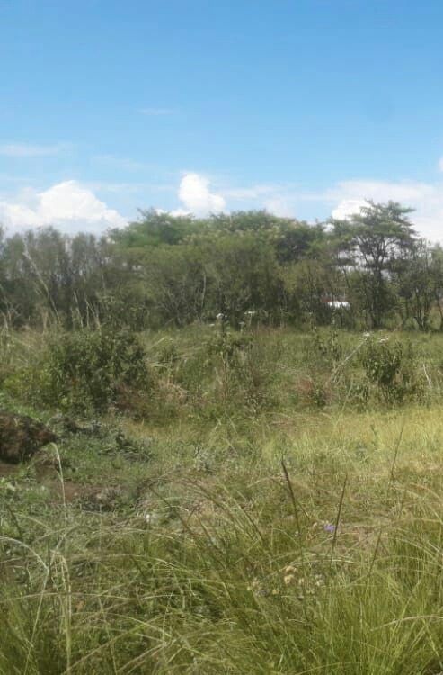 KENOL MAKUYU MURANGA 4 ACRES COMMERCIAL LAND ON QUICK SALE