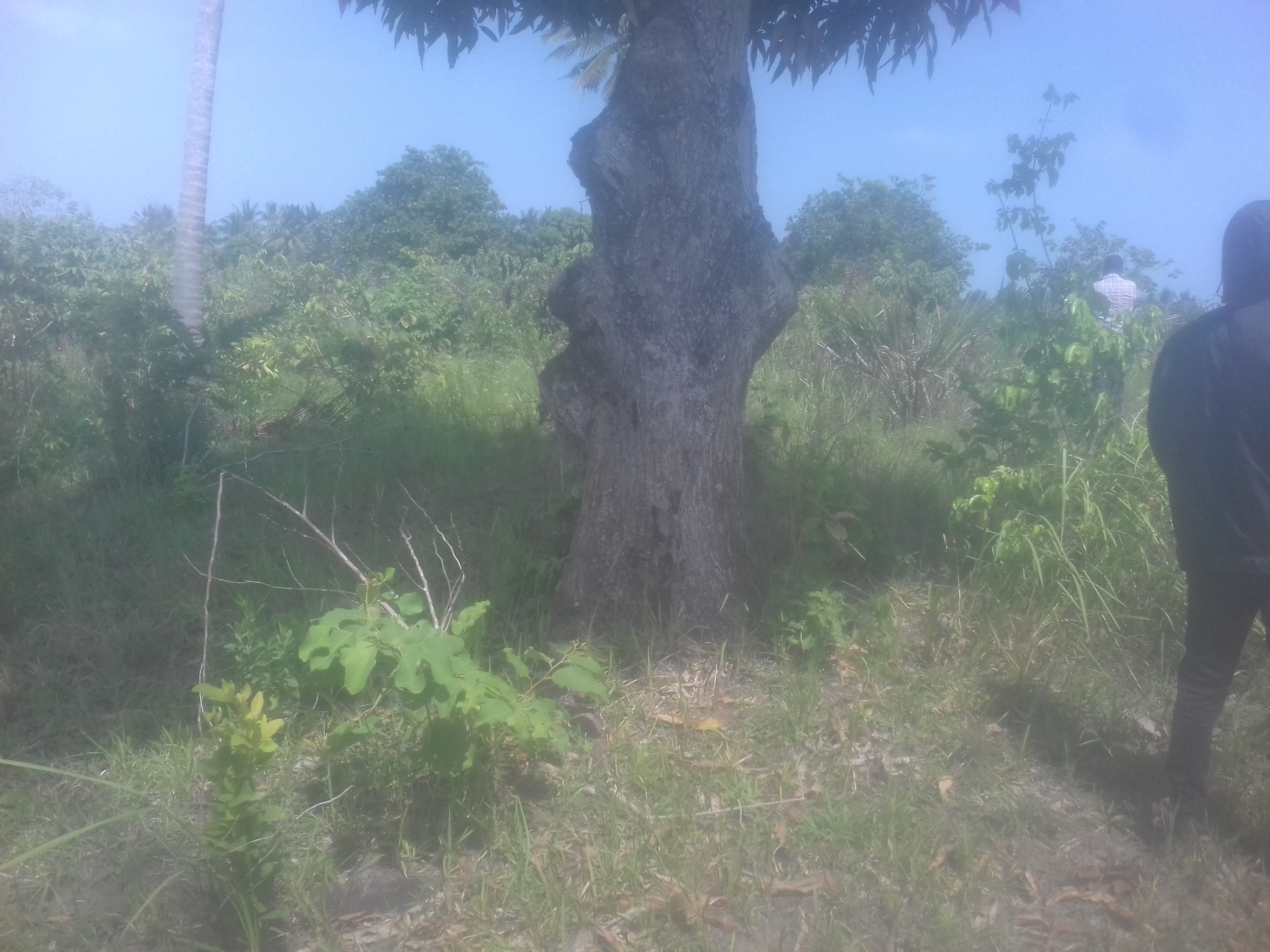land for sale in Ukunda Kwale County