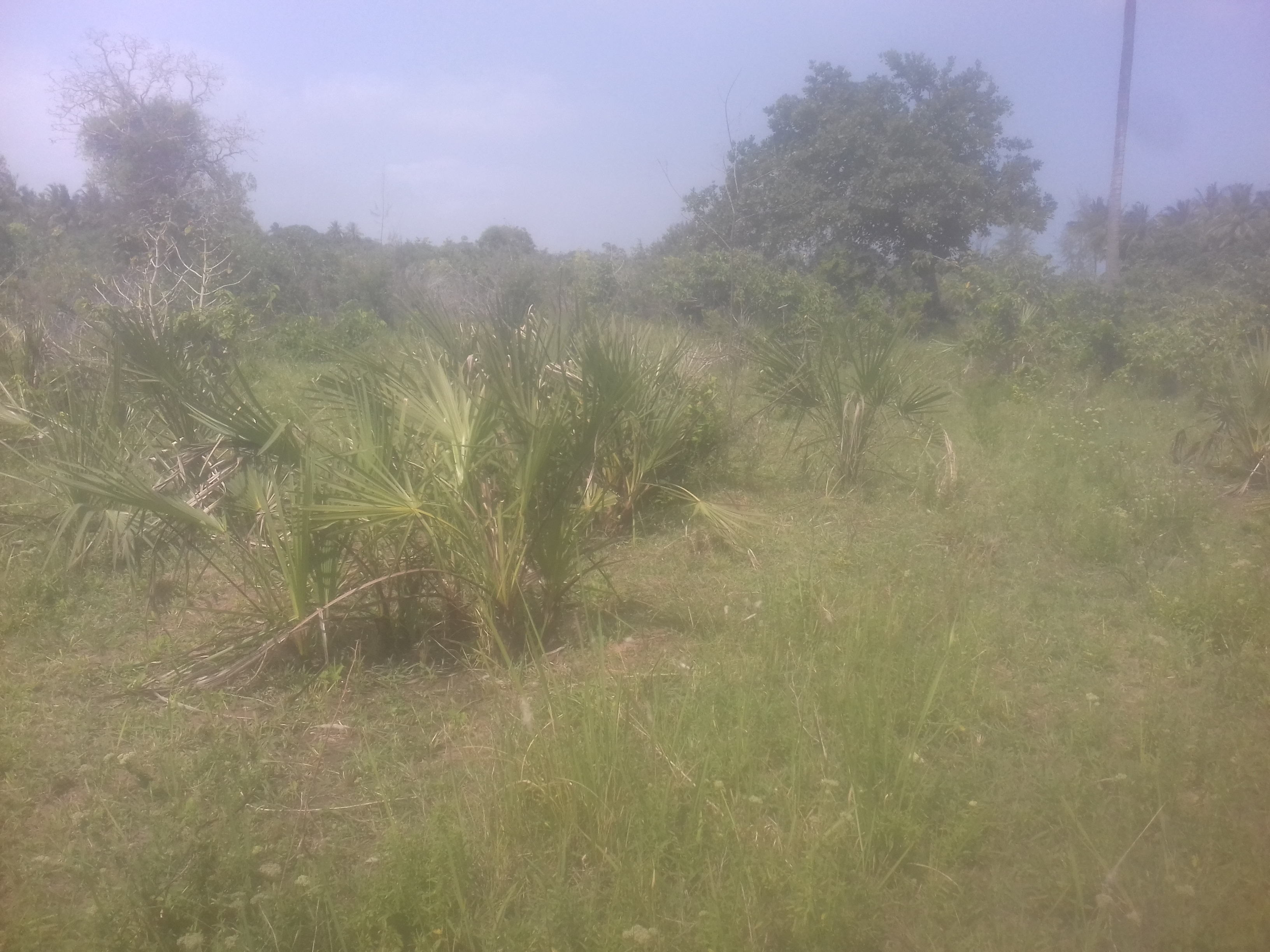 land for sale in Ukunda Kwale County