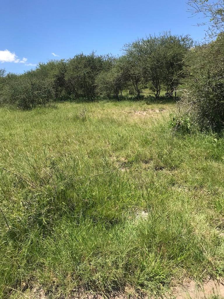8 acres for sale.