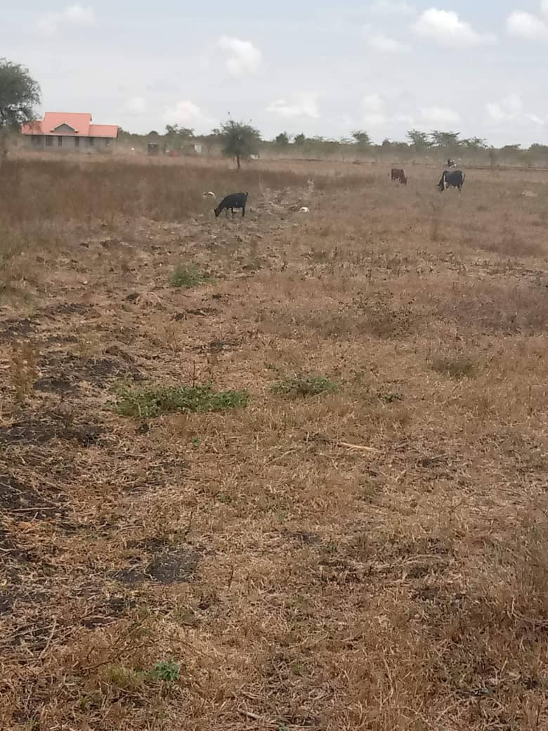 2 acres for sale at konza cooperative 