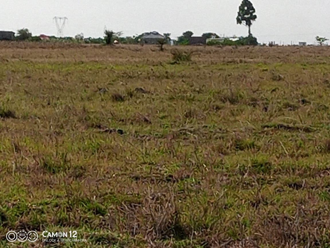 Juja Athi Plots for sale (40 x 90) few meters from upcoming greater Eastern bypass