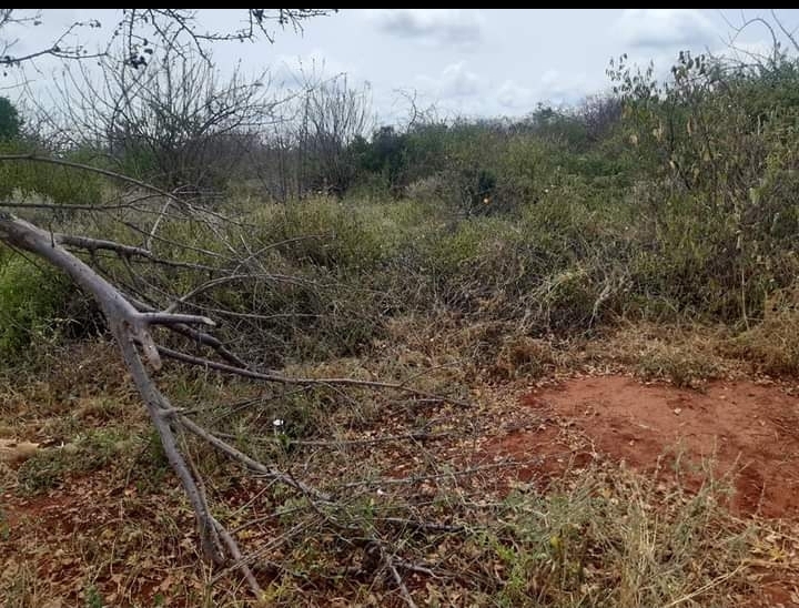 100 acres for sale at Mtito Andei