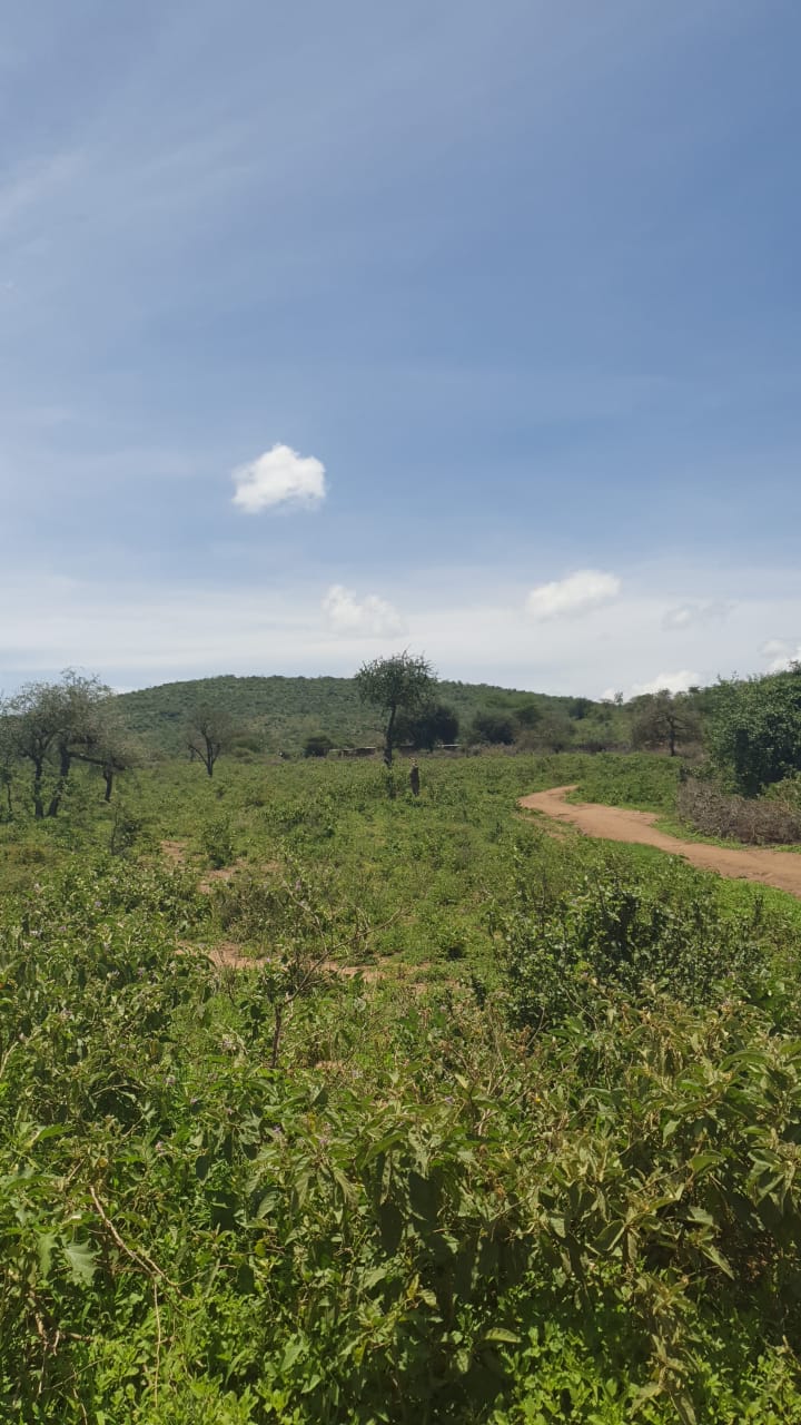 3 acres along Nyeri/ nyahururu road