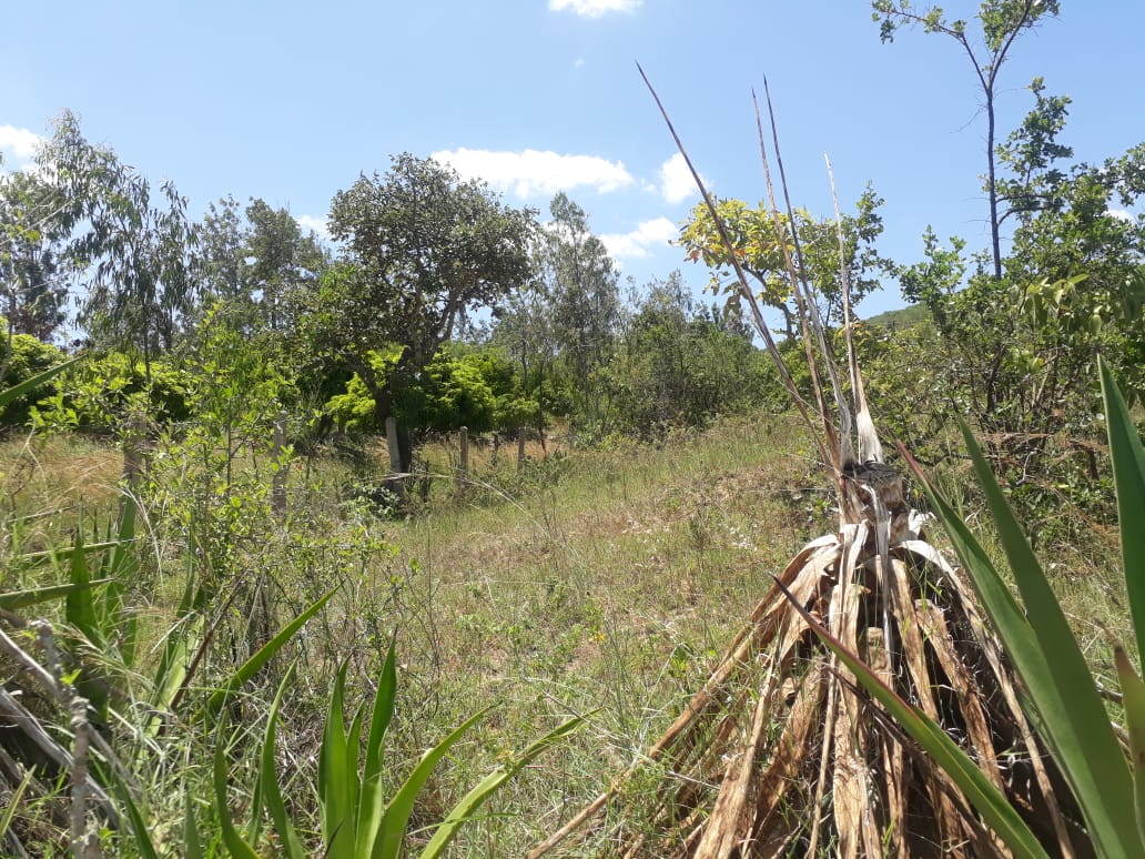 30 Acres land for sale in Masii, Mwala Machakos