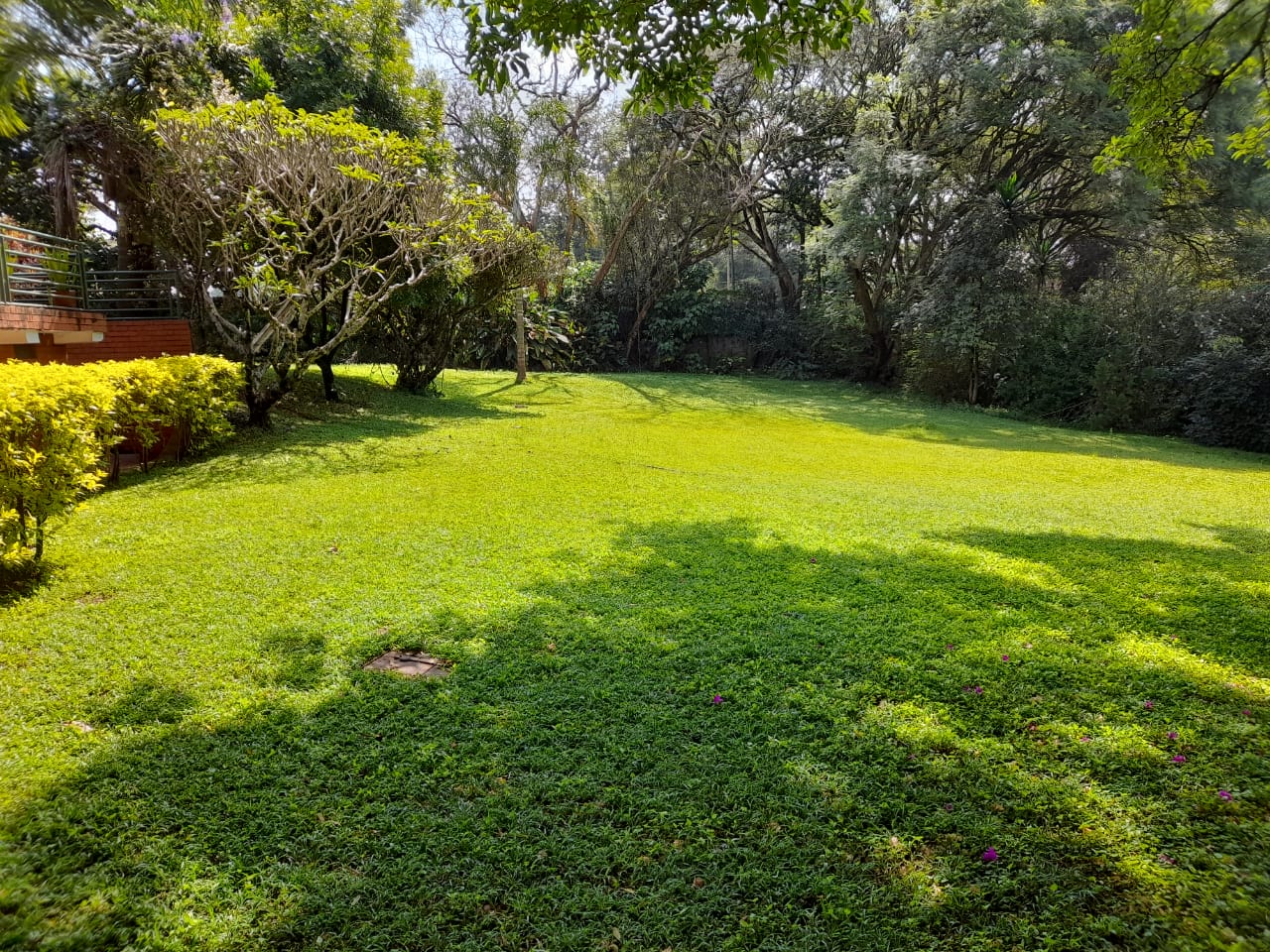 Plot for sale at muthaiga 