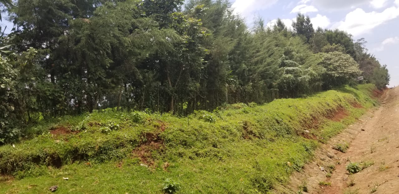 PRIME COMMERCIAL PROPERTY FOR SALE AT THE HEART OF KERICHO TOWN