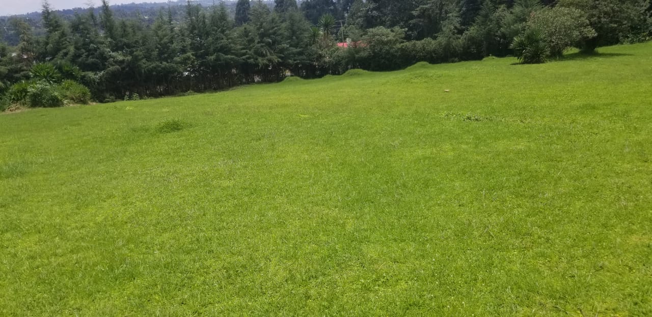 PRIME COMMERCIAL PROPERTY FOR SALE AT THE HEART OF KERICHO TOWN