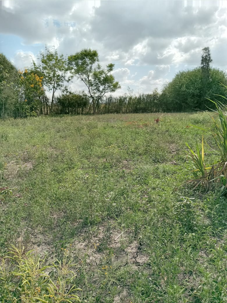 1/2 acre for sale at kitengela 