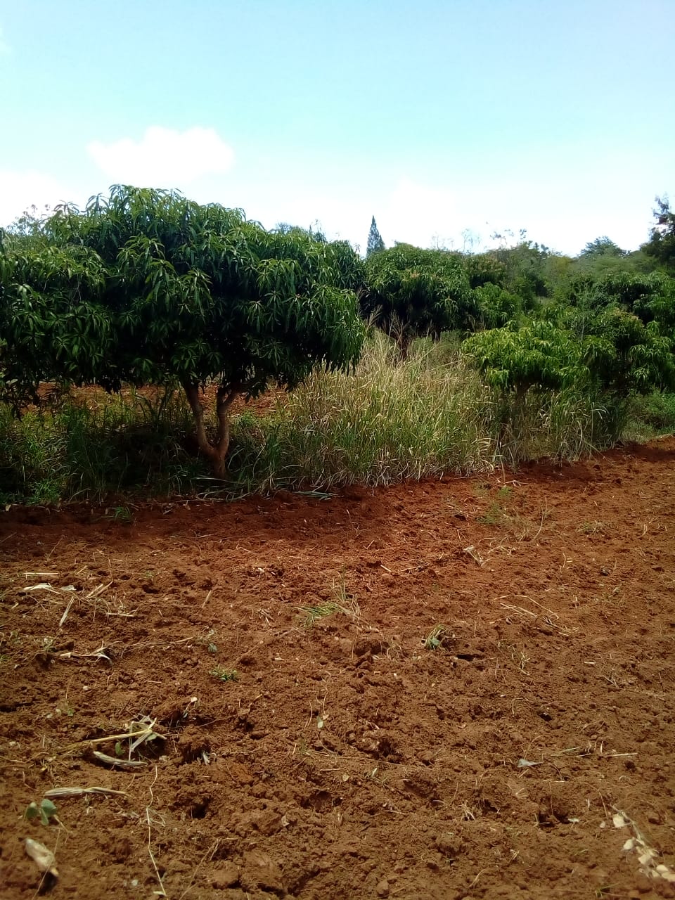 4 acres for sale in Makueni county Wote.