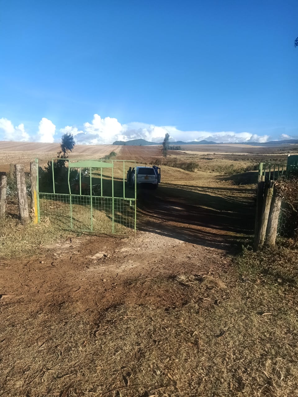 14.5 Acres agricultural land for sale in Timau Kisima Touching tarmac