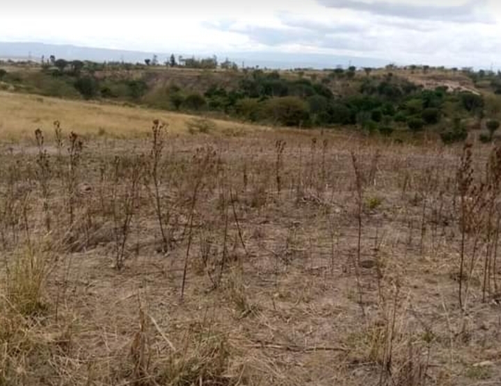 5 acres in Nakuru