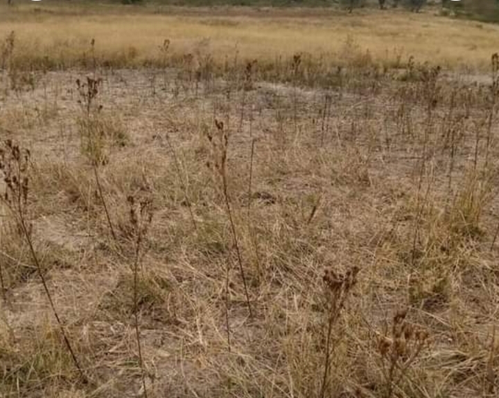 5 acres in Nakuru