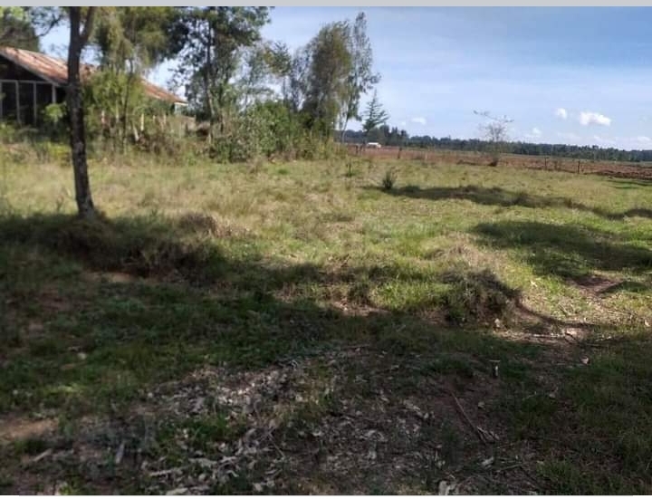 11 acres at nyahururu Elmore olok 