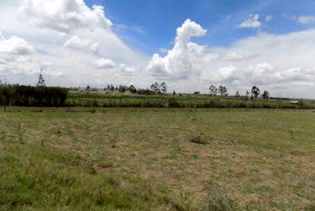 49 acres for sale at syokimau 