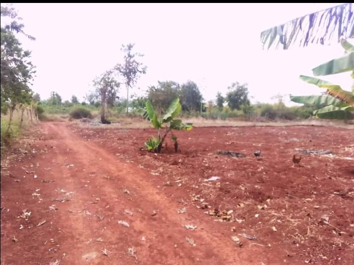 1.5 acres at kiamuringa B embu county 