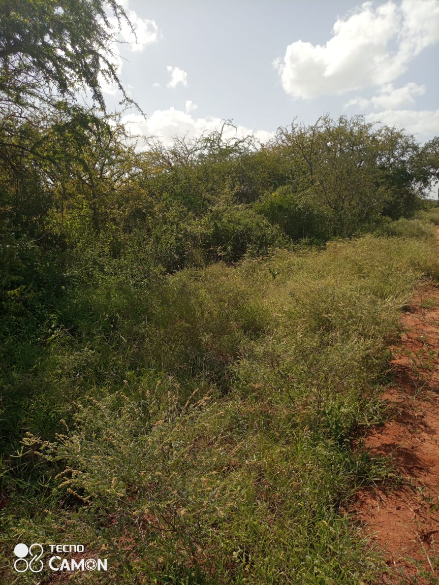 725 ACRES AGRICULTURAL LAND IN MAKUENI COUNTY FOR SALE