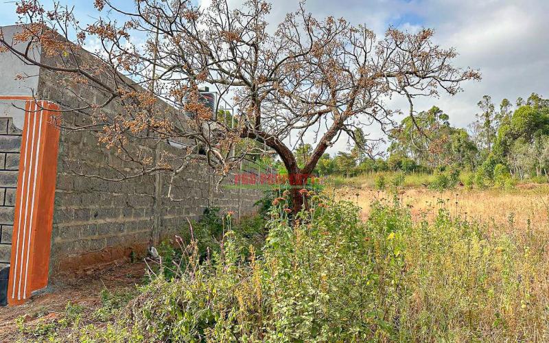 Land for sale in Kikuyu Residential Plots For Sale In Kikuyu