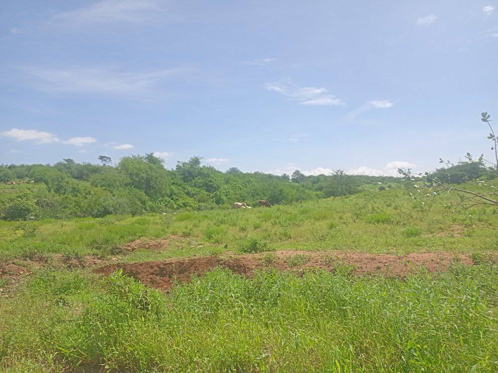 Prime Embu Land: 5 Acres with River Access & Easy Roadside Location (250k/Acre)