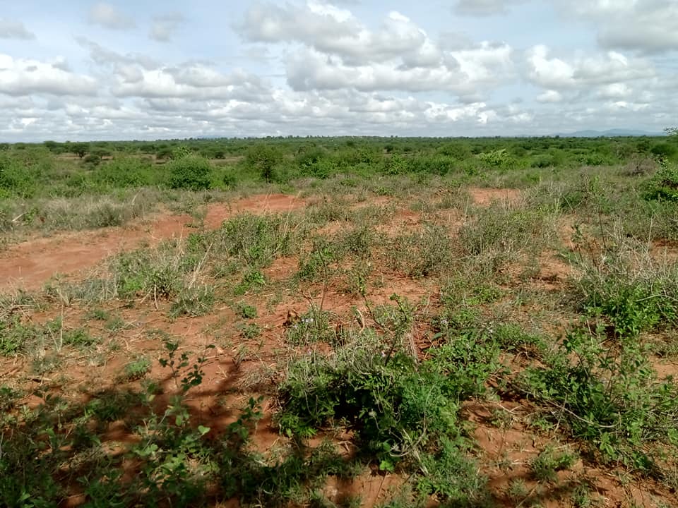 Juja farm prime plots with ready Title deeds