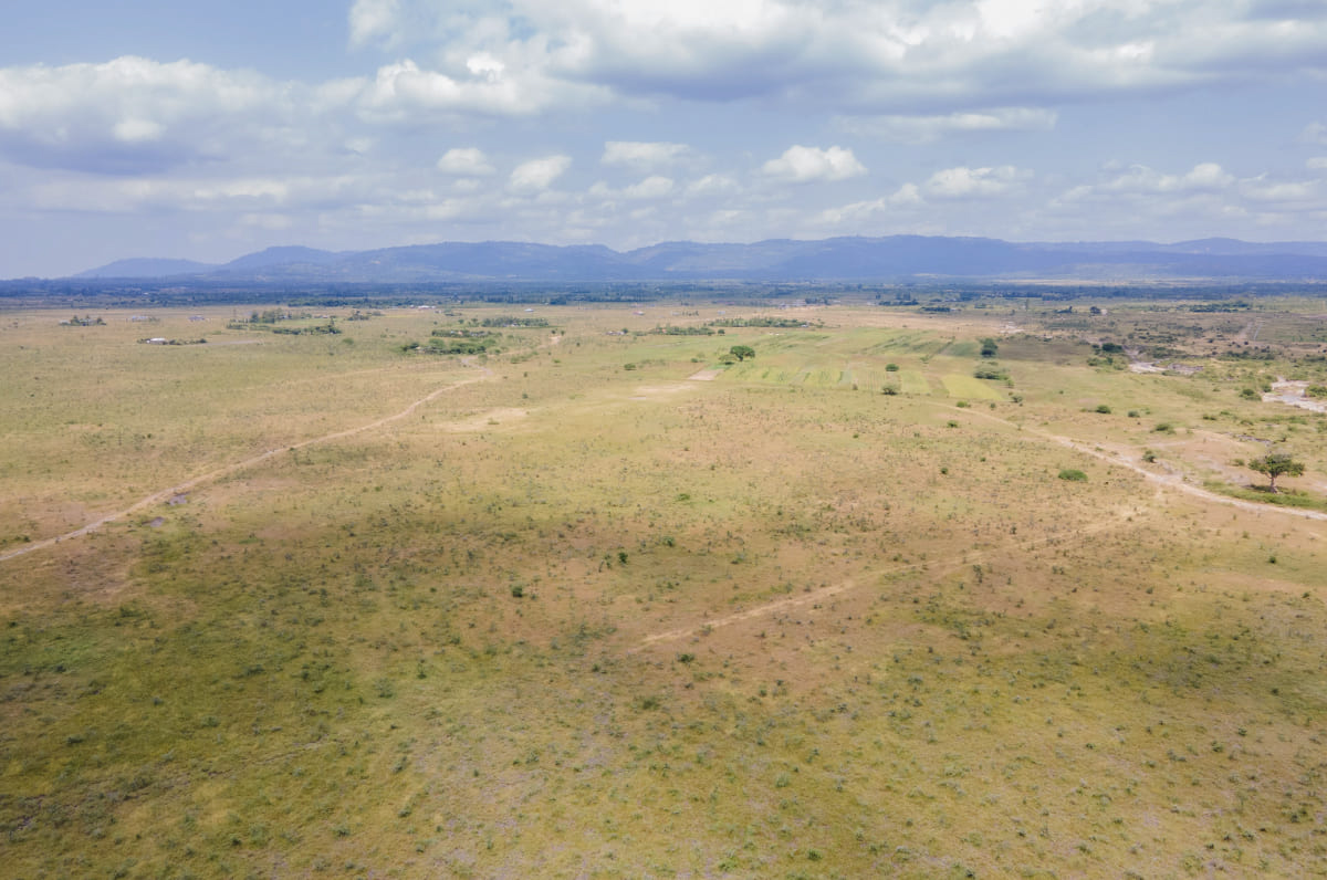 Prime 100 Acre Property for Sale in Kantafu