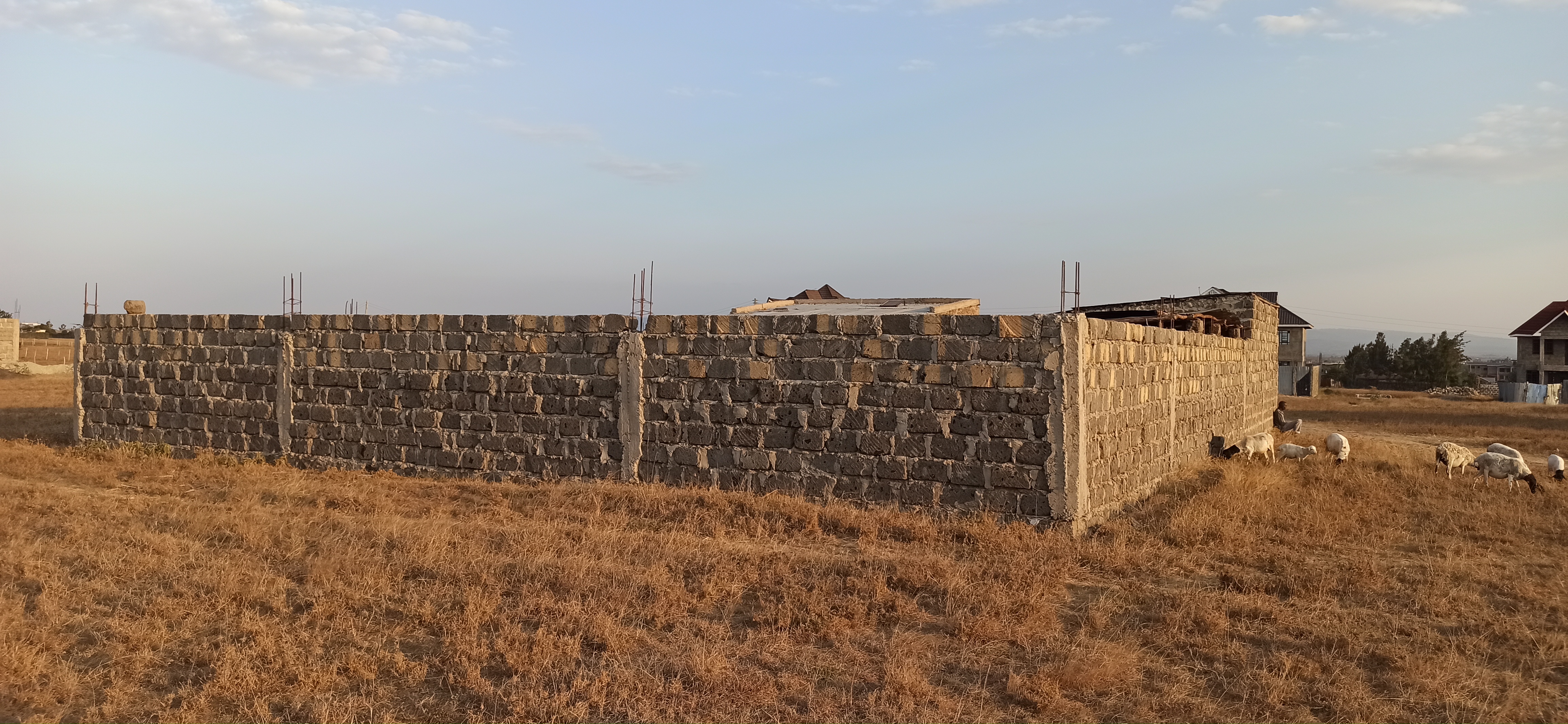 50 by 82 plot for sale Malaa