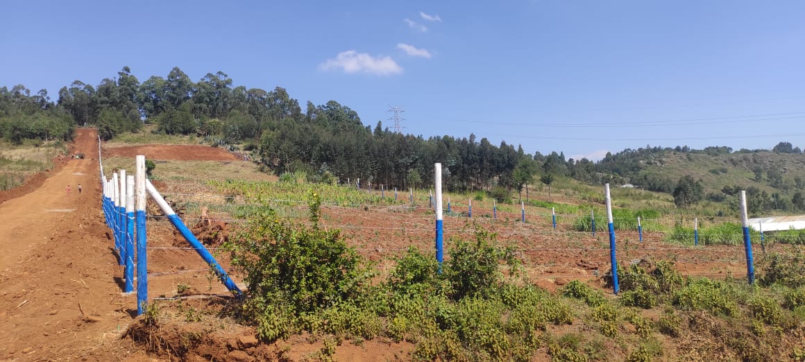 Prime 50x100 residential plots for sale in Thigio, Makutano