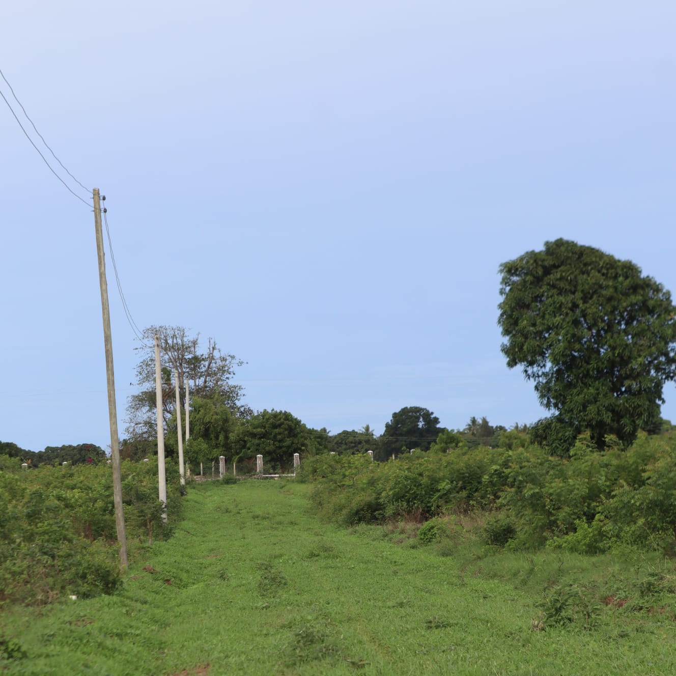 MALINDI AIRPORT VIEW KAOYENI GARDENS