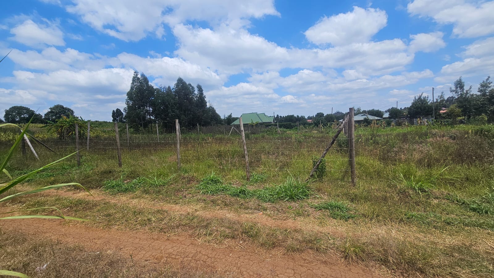 50 by 100 plot for sale in kamangu