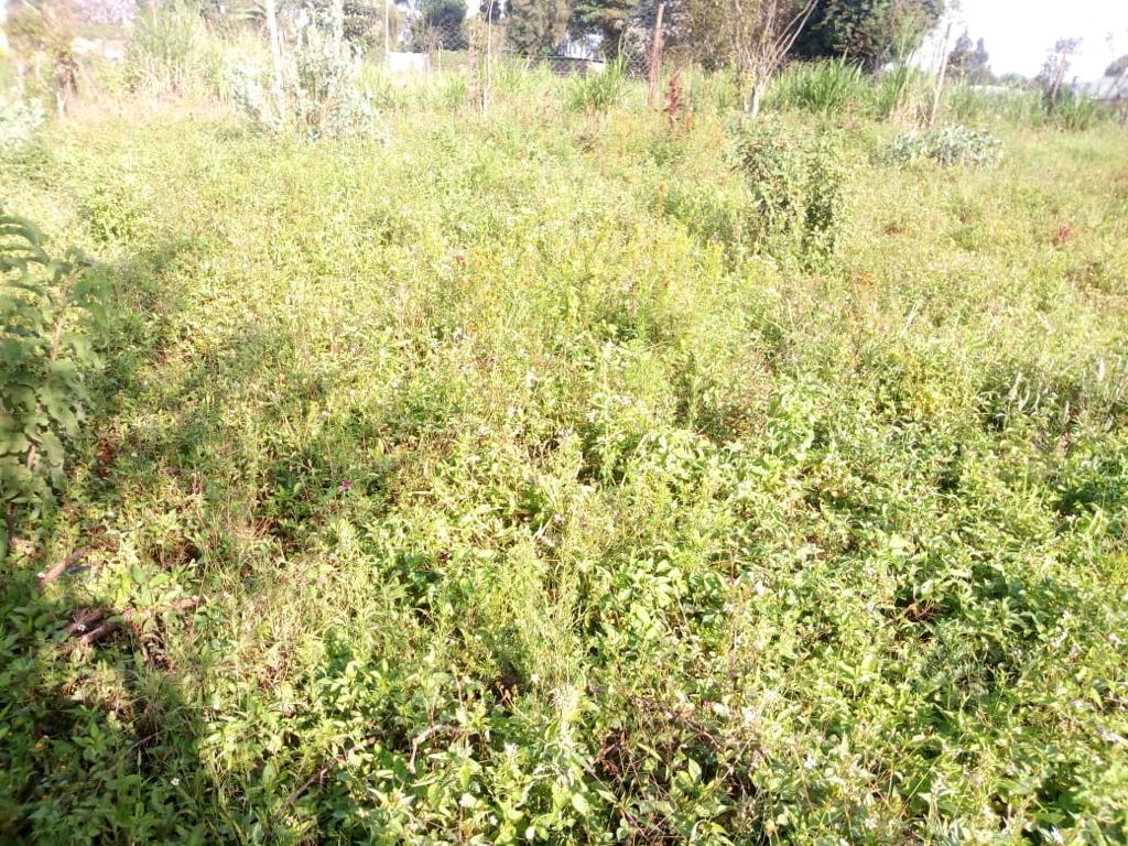 1/8th Acre plot for sale in Kikuyu Mutarakwa